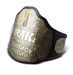 Чемпионский ММА