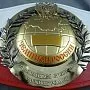 Чемпионский пояс по кикбоксингу